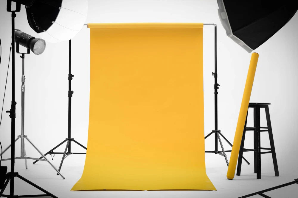Seamless Photo Backdrop or Single Set Rental